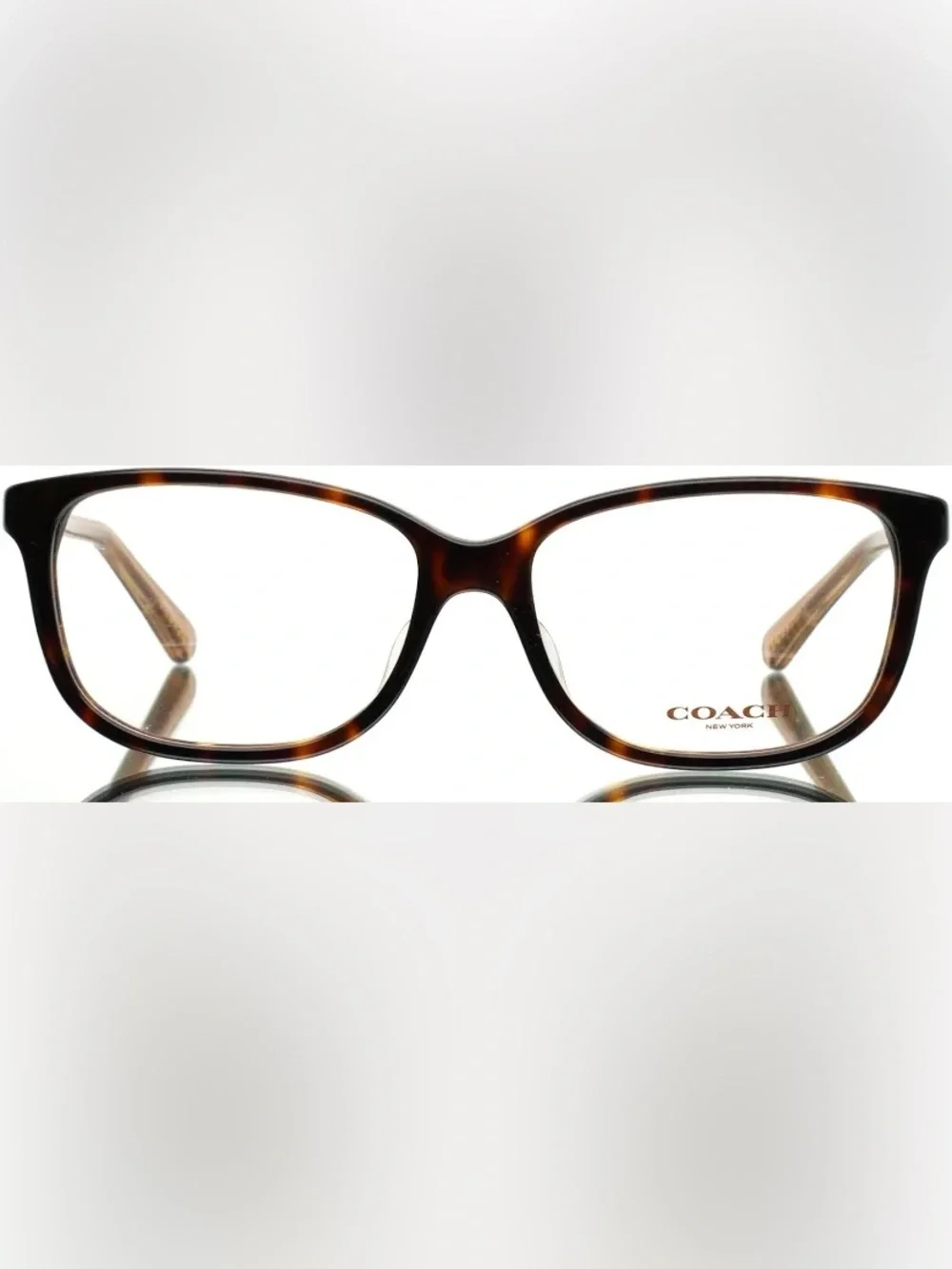 COACH Women's Dark Tortoise Eyeglasses HC6143